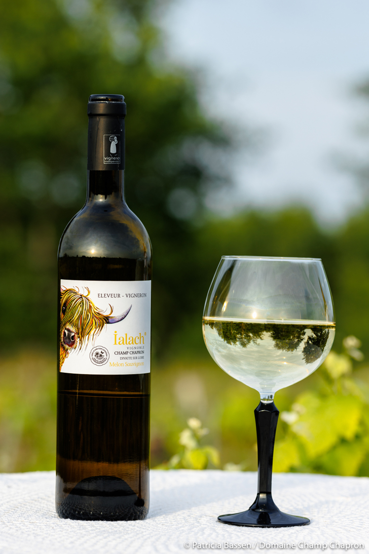 Ialach® Blanc – Image 2