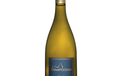 Cru Champtoceaux : un cru communal muscadet, surprenant et authentique