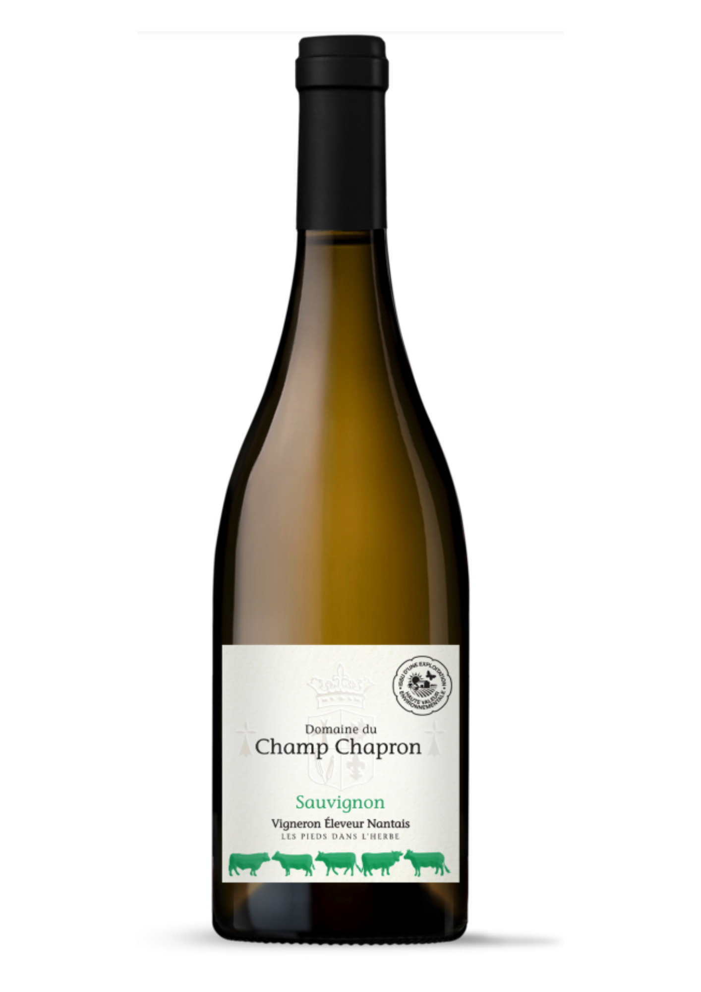 Sauvignon - Val de Loire