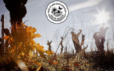 Vous recherchez un vignoble près de nantes avec la certification haute valeur environnementale ? Connaissez-vous le domaine du champ chapron ?