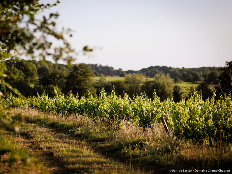 portes-ouvertes-domaine-champ-chapron