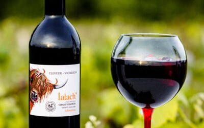 Trois façons de consommer votre Ialach® rouge