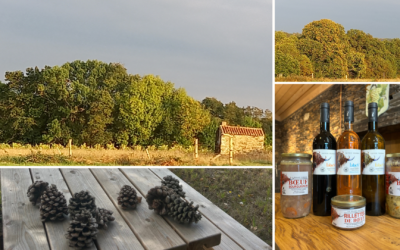 L’automne au Domaine du Champ Chapron