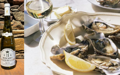 Quand la Terre rencontre la Mer : Muscadet Coteaux de la Loire sur lie et huîtres